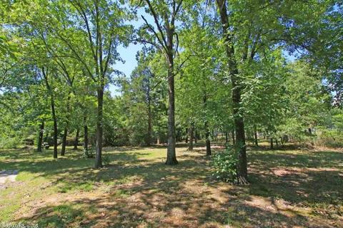 123 Ring Cv, Batesville, AR 72501 photo 16