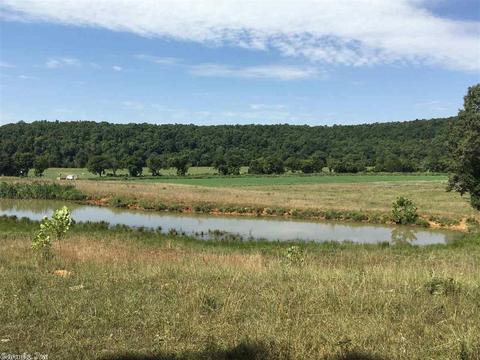 441 Spring River Ranch Rd, Williford, AR 72482 photo 39