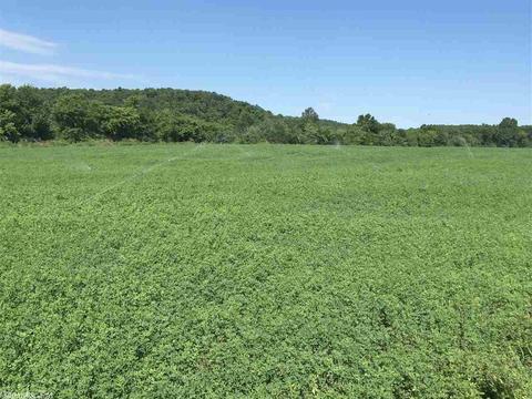 441 Spring River Ranch Rd, Williford, AR 72482 photo 7