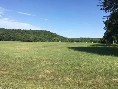 441 Spring River Ranch Rd, Williford, AR 72482 photo 40