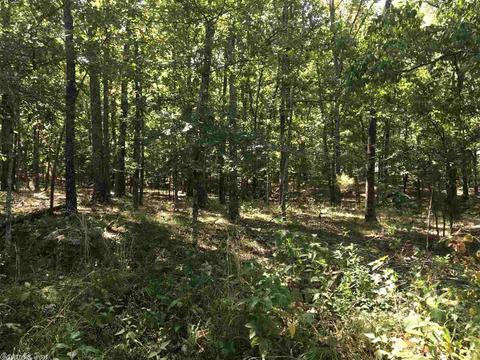 441 Spring River Ranch Rd, Williford, AR 72482 photo 37