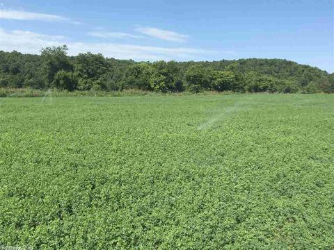 441 Spring River Ranch Rd, Williford, AR 72482 photo 36