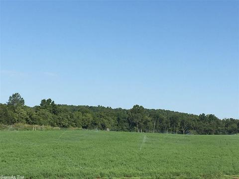 441 Spring River Ranch Rd, Williford, AR 72482 photo 6