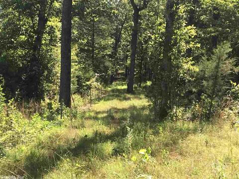 441 Spring River Ranch Rd, Williford, AR 72482 photo 38