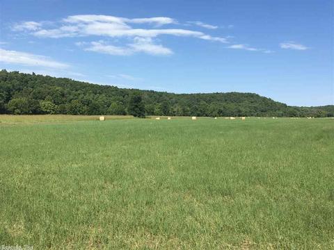 441 Spring River Ranch Rd, Williford, AR 72482 photo 10