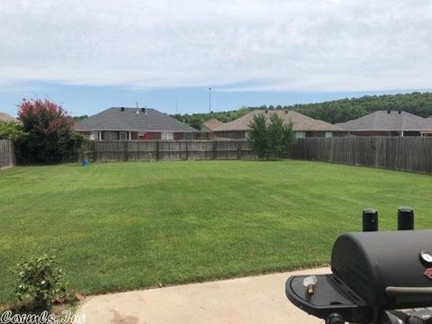 1690 Hosta, Conway, AR 72034 photo 37