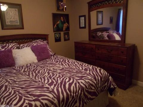 204 Wild Mango Cv, Benton, AR 72015 photo 30
