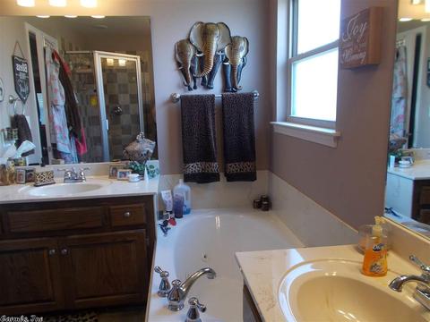 204 Wild Mango Cv, Benton, AR 72015 photo 20