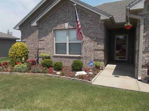 204 Wild Mango Cv, Benton, AR 72015 photo 1
