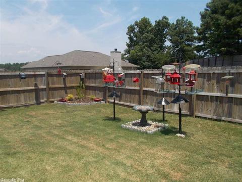 204 Wild Mango Cv, Benton, AR 72015 photo 35