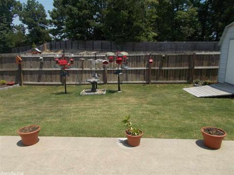 204 Wild Mango Cv, Benton, AR 72015 photo 38