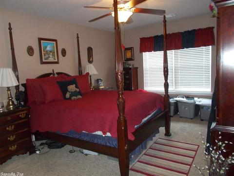 204 Wild Mango Cv, Benton, AR 72015 photo 18