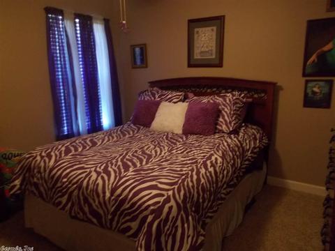 204 Wild Mango Cv, Benton, AR 72015 photo 29