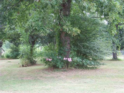 208 Caprice Trl, Malvern, AR 72104 photo 2
