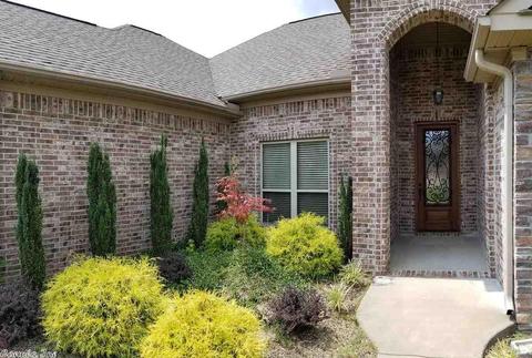 6299 Pierce Manse Loop, Benton, AR 72019 photo 4