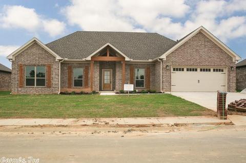 175 Hudson Branch Dr, Austin, AR 72007 photo 1