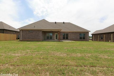 175 Hudson Branch Dr, Austin, AR 72007 photo 39
