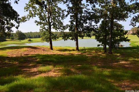 801 Greystone Blvd, Cabot, AR 72023 photo 3