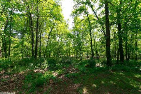421 Quail Trl, Cabot, AR 72023 photo 38
