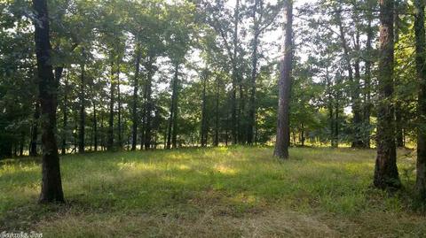 168 Whitley Ln, Mena, AR 71953 photo 5