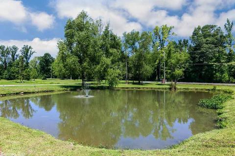 255 Mt Tabor, Cabot, AR 72023 photo 4