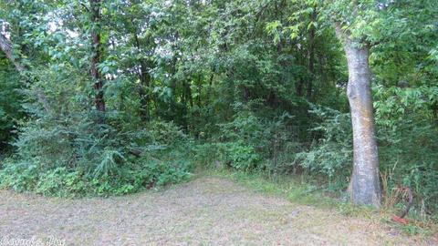 40 Loop Rd, Locust Grove, AR 72550 photo 12