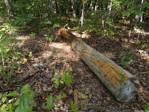 1700 Hatley Mountain Rd, Jerusalem, AR 72031 photo 14