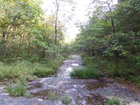 1700 Hatley Mountain Rd, Jerusalem, AR 72031 photo 13
