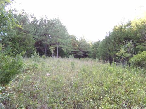 1700 Hatley Mountain Rd, Jerusalem, AR 72031 photo 20