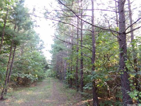 1700 Hatley Mountain Rd, Jerusalem, AR 72031 photo 29