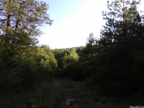 1700 Hatley Mountain Rd, Jerusalem, AR 72031 photo 25
