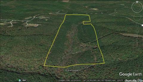 1700 Hatley Mountain Rd, Jerusalem, AR 72031 photo 33