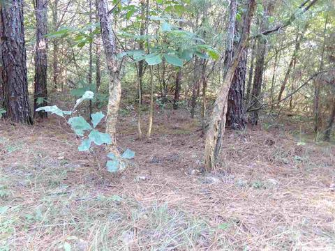 1700 Hatley Mountain Rd, Jerusalem, AR 72031 photo 24