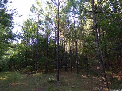 1700 Hatley Mountain Rd, Jerusalem, AR 72031 photo 28