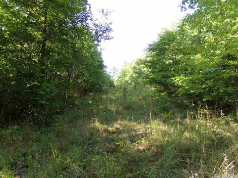 1700 Hatley Mountain Rd, Jerusalem, AR 72031 photo 16