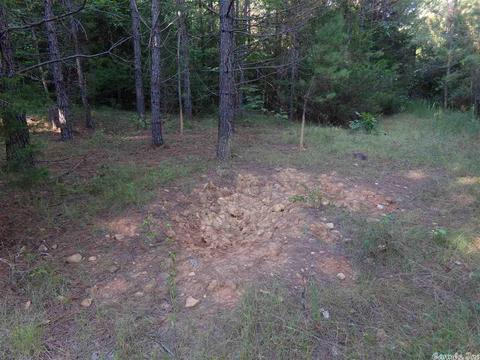 1700 Hatley Mountain Rd, Jerusalem, AR 72031 photo 23