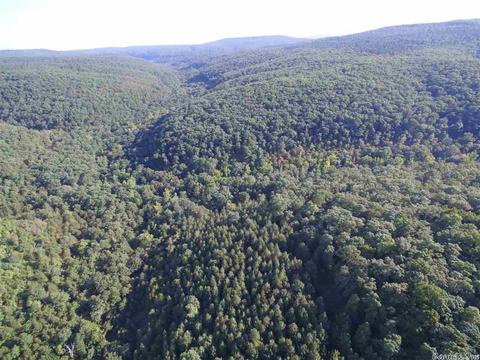 1700 Hatley Mountain Rd, Jerusalem, AR 72031 photo 32