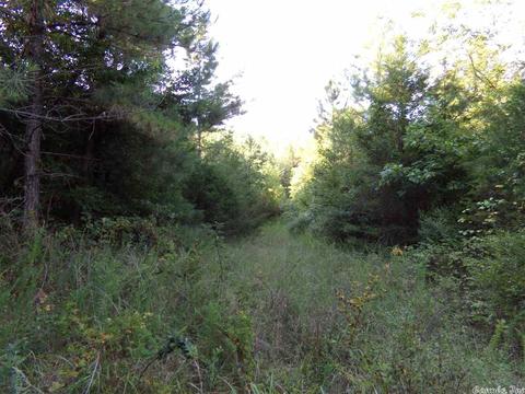 1700 Hatley Mountain Rd, Jerusalem, AR 72031 photo 21