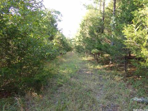1700 Hatley Mountain Rd, Jerusalem, AR 72031 photo 19