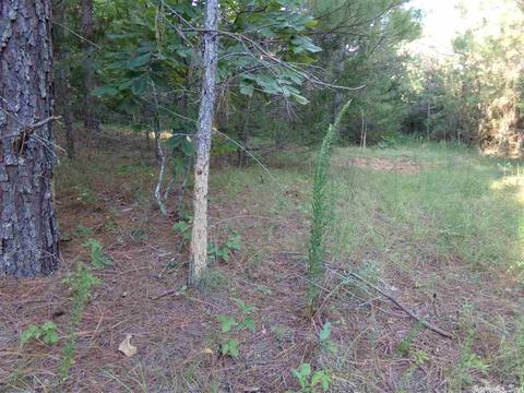 1700 Hatley Mountain Rd, Jerusalem, AR 72031 photo 22
