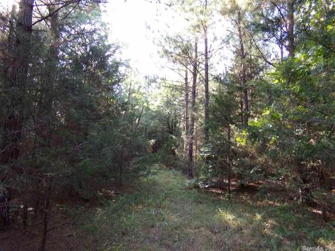1700 Hatley Mountain Rd, Jerusalem, AR 72031 photo 17
