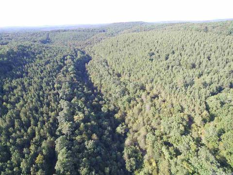 1700 Hatley Mountain Rd, Jerusalem, AR 72031 photo 31