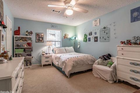 5 Roseanne Dr, Conway, AR 72034 photo 20