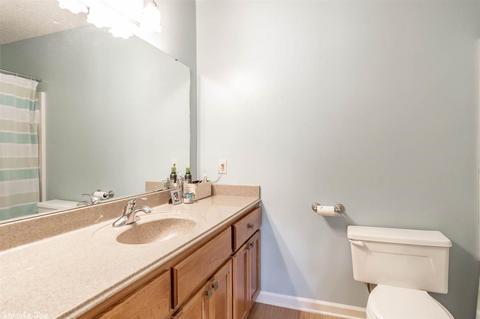 5 Roseanne Dr, Conway, AR 72034 photo 19