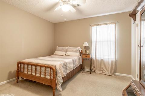 5 Roseanne Dr, Conway, AR 72034 photo 23