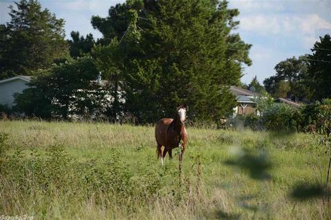 695 Post Oak Dr, Bee Branch, AR 72013 photo 6
