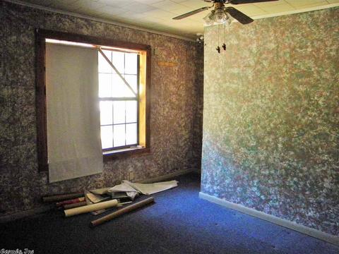 207 Dry Bone Rd, Ash Flat, AR 72513 photo 4