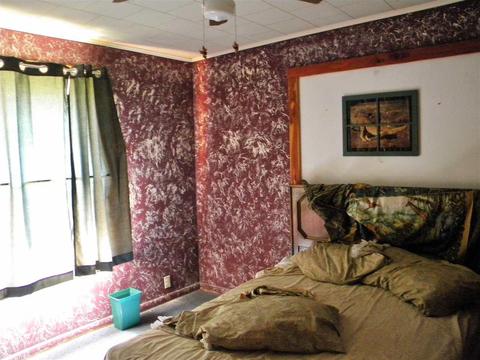 207 Dry Bone Rd, Ash Flat, AR 72513 photo 6