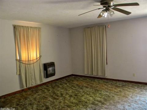 207 Dry Bone Rd, Ash Flat, AR 72513 photo 8