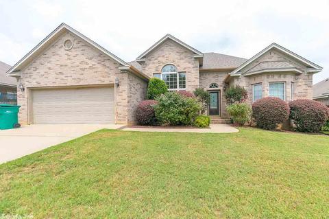 16918 N Fork Dr, Alexander, AR 72002 photo 29